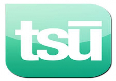 Provide 500 HQ & Active TSU.co followers