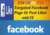 Provide 200 Uk Or Usa Targeted Facebook Likes only