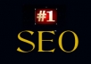 do an seo audit on your site and provide you with a step by step report to get you ranked quickly