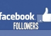 give you worldwide or only European 32 countries based or USA 16 countries based Facebook follower