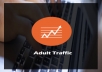 send 10,000 Real Human ADULT Traffic to Your Website
