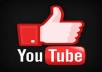 Give you 100+ YouTube Likes In 24 Hours for