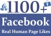 Provide Your Real 1100 Facebook Page Likes