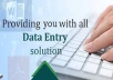 do data entry, data analysis, data mining and data analysis for $10