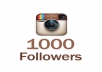add 1000 instagram real high quality followers