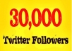 add 30,000 Twitter followers to your Twitter account, NO unfollows, no egg   