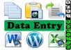 do any kind of data entry for 3 hours
