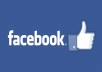 give you 500+ genuin facebook likes