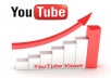 Give you 11011+ High and SAFE YouTube Views +50 Likes Guaranteed within 48-96 hours.
